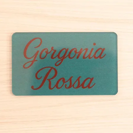 La Gorgonia 3*